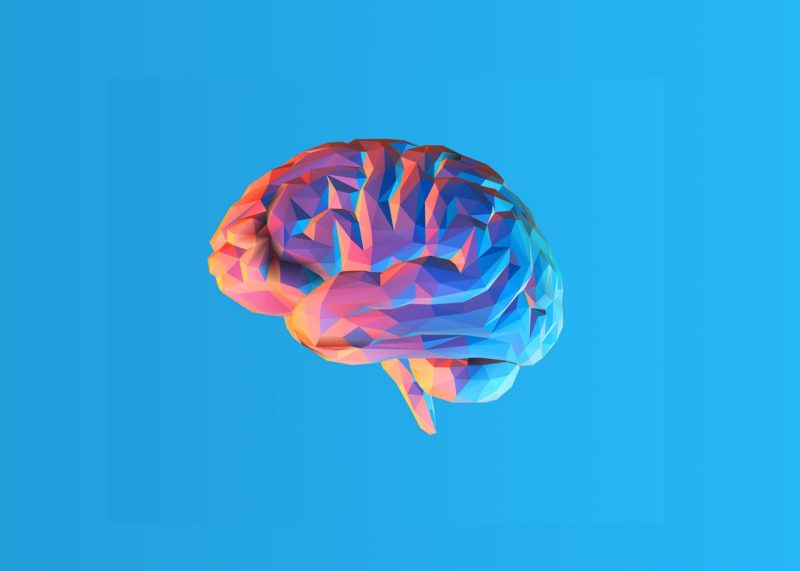 Aging Brain and Cholestrol