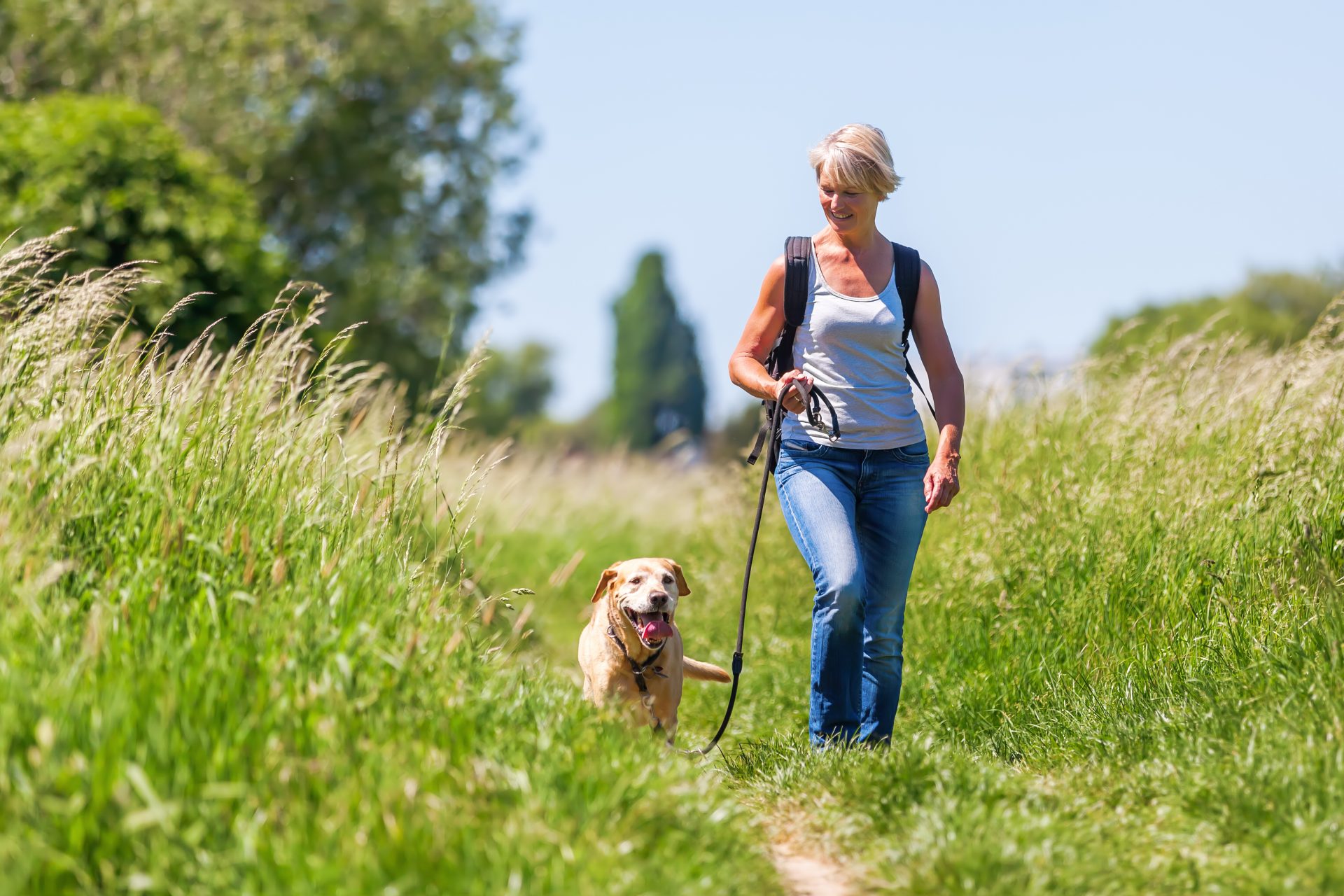 What is the Correlation Between Gait Speed and Health?