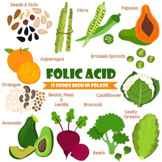 How Folate Can Help the Elderly Maintain Cognitive Health