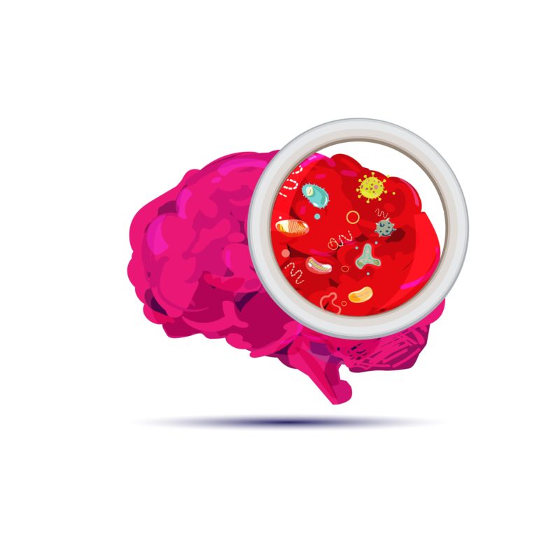 Brain Gut Connection